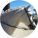 Paz Francisco profile picture